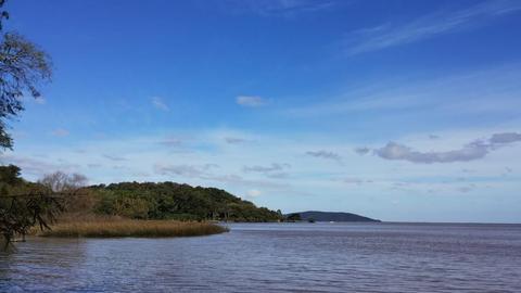 Image 4 - 229813