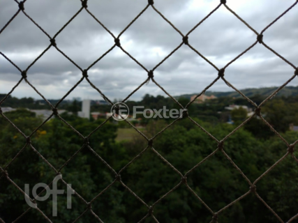 Image 11 - 232521