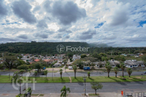 Image 7 - 233136