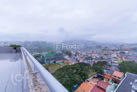 Image 5 - 233335