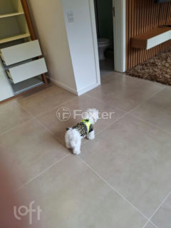 Image 14 - 233351