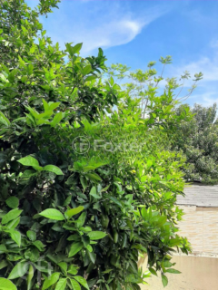 Image 4 - 235230