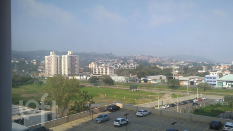 Image 8 - 235249