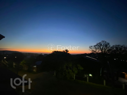 Image 30 - 237586
