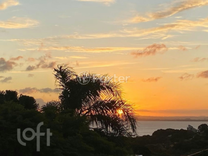 Image 36 - 237586