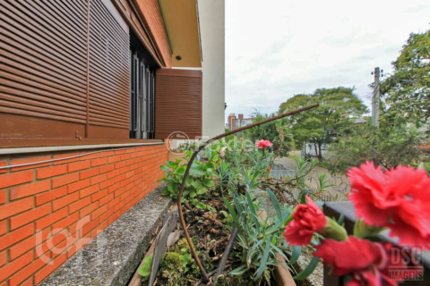 Image 78 - 237875