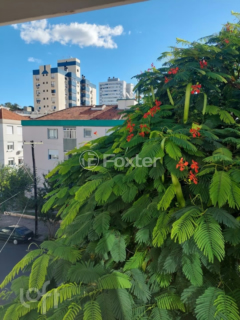 Image 16 - 237915