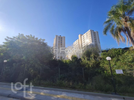 Image 7 - 238285