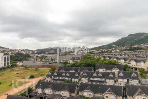 Image 16 - 239015