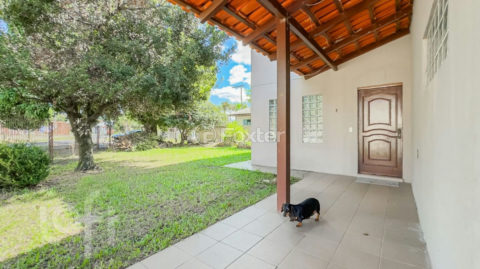 Image 30 - 239864