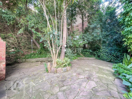 Image 31 - 241056