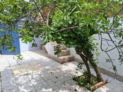 Image 8 - 241360