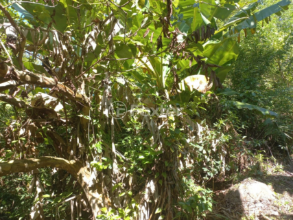Image 59 - 241438