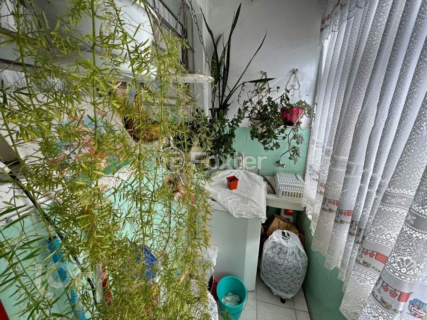 Image 10 - 242629