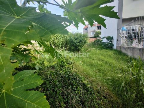 Image 4 - 242692