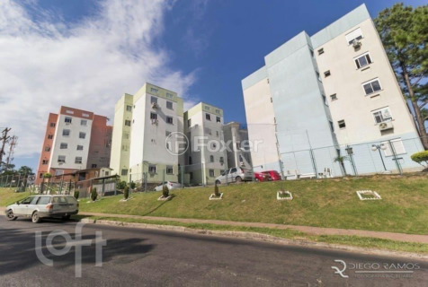 Image 9 - 242803