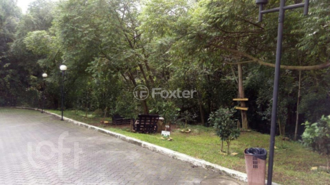 Image 9 - 243208