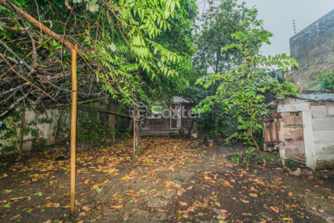 Image 24 - 243673