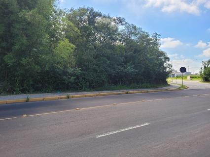 Image 5 - 243674