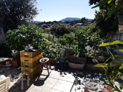 Image 9 - 243901