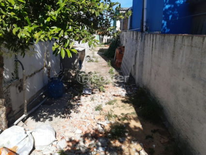 Image 8 - 243901