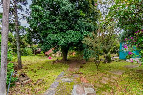 Image 4 - 244809