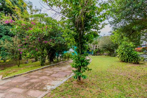 Image 5 - 244809