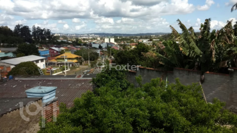 Image 3 - 244867