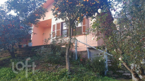 Image 25 - 244945