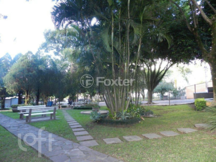 Image 24 - 245196