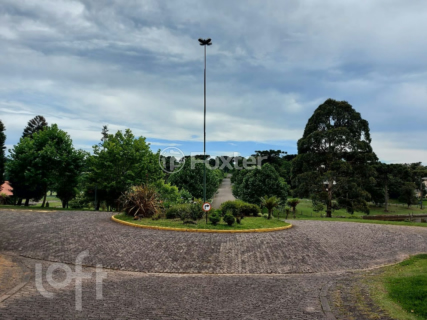 Image 55 - 245262