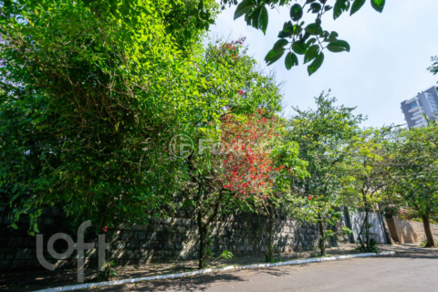 Image 36 - 245453