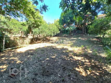 Image 3 - 245503