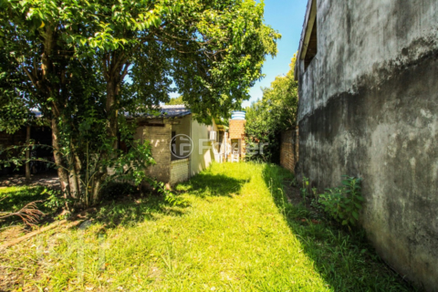 Image 32 - 245725
