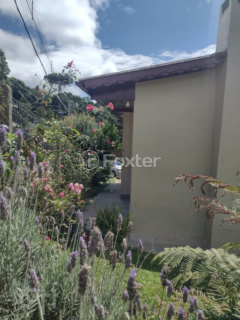 Image 26 - 245936
