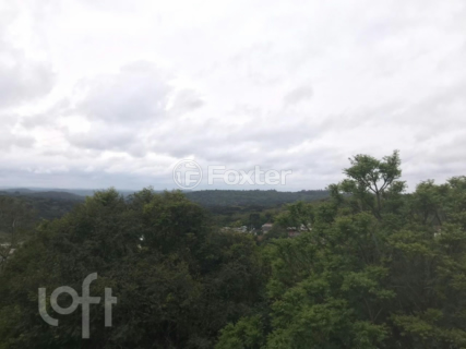 Image 17 - 246177
