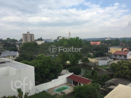 Image 7 - 246233