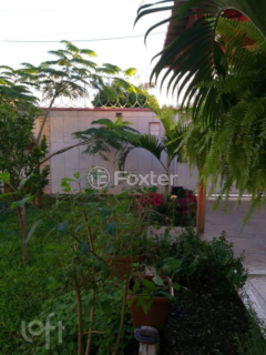Image 7 - 246972