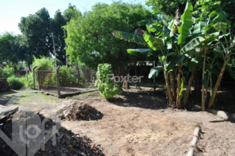 Image 9 - 247314