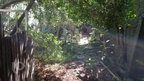 Image 16 - 247342