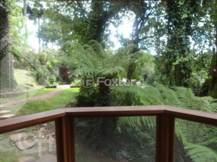 Image 5 - 247807