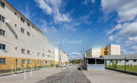 Image 7 - 247966