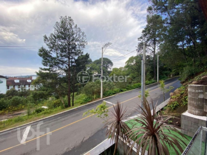 Image 19 - 248257