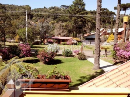 Image 19 - 248466