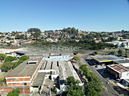 Image 9 - 248692