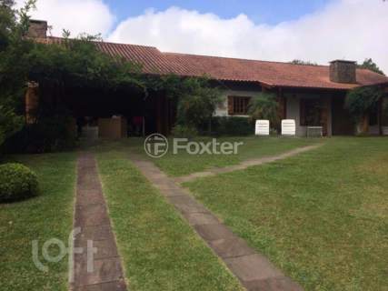 Image 4 - 249516