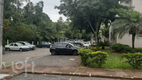 Image 3 - 249520