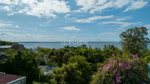 Image 7 - 250302