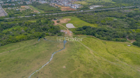 Image 13 - 250377