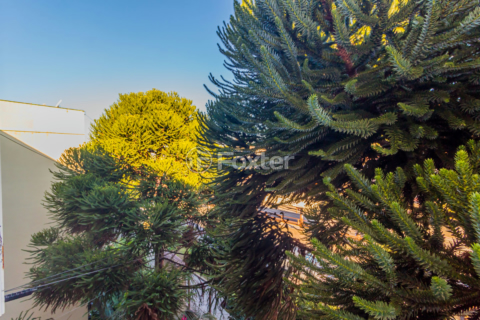 Image 4 - 250813